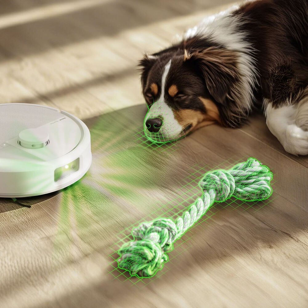 Avoids their favorite toys